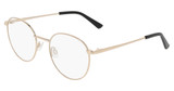Lenton & Rusby Eyeglasses LR4507 GOLD/710