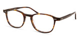 Modo Eyeglasses 8022 DARK BROWN/DBWN