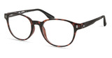 Eco Eyeglasses EZRA HAVANA/HVNA