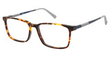 2BB Eyeglasses MARSHALL TORTOISE/C02