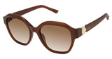 ELLE Eyeglasses EL 14965 Brown/BR