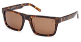 Timberland Eyeglasses TB00042 red havana / brown polarized/54H