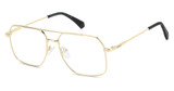 Polaroid Eyeglasses PLD D554 GOLD/0J5G