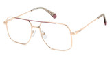 Polaroid Eyeglasses PLD D554 GOLD PINK/0EYR