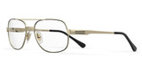 Safilo Elasta Eyeglasses E 3269 GOLD BLCK_/0RHL