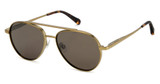 Fossil Eyeglasses FOS 3171/G/S MTTANT GD/0577