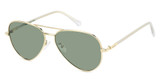 Polaroid Eyeglasses PLD 4186/G/S/X GOLD/0J5G