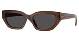 Burberry Eyeglasses BE4463D BROWN/411687
