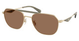 COACH Eyeglasses HC7178 CAE80 SATIN LIGHT GOLD / OLIVE/900573