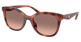 COACH Eyeglasses HC8419U CAD25 CARAMEL TORTOISE/577413