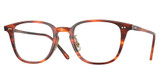 OLIVER PEOPLES OV5578 SOBEL KOA TORTOISE/1799