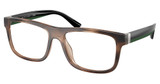 Polo Eyeglasses PH2290U SHINY HAVANA/5974