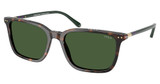 Polo Eyeglasses PH4226 SHINY DARK HAVANA/567371