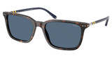 Polo PH4226F SHINY HAVANA/500380