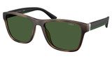 Polo Eyeglasses PH4229U MATTE DARK HAVANA/607071