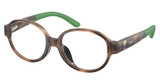Ralph Lauren Children Eyeglasses PP8552U SHINY DARK HAVANA/5003
