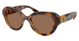 SWAROVSKI SK6037F HAVANA/100273