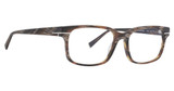 Trina Turk Eyeglasses Childs BROWN HORN/BRH