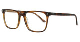 Charles Stone Eyeglasses CSNY30182 HAVANA (BROWN) DARK SHINY/5532