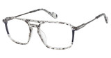 True Religion Eyeglasses T4022 Grey/GRY