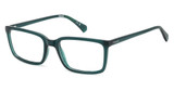Polaroid Eyeglasses PLD D546 TEAL/0ZI9