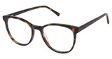 Aristar Eyeglasses AR 18449 Tortoise/532