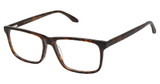 Aristar Eyeglasses AR 18667 Tortoise/532