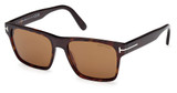 Tom Ford Eyeglasses FT1205 dark havana / brown/52E