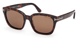 Tom Ford Eyeglasses FT1216 dark havana / brown polarized/52H