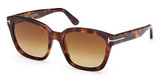 Tom Ford Eyeglasses FT1216 blonde havana / gradient brown/53F