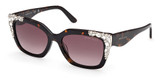 Guess? GM00027 dark havana / gradient brown/52F
