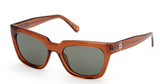Guess? Eyeglasses GU00206 shiny dark brown / green/48N