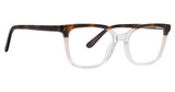 XOXO Eyeglasses Aberdeen TORTOISE/TOR