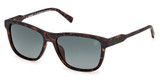 Timberland Eyeglasses TB00052-H dark havana / smoke polarized/52D