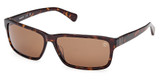 Timberland Eyeglasses TB00053 dark havana / brown polarized/52H