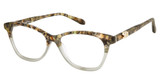 Nicole Miller Eyeglasses LAVAL BROWN LAVENDER/C01