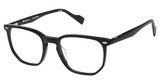 Ben Sherman Eyeglasses GOLDEN BLACK/C01