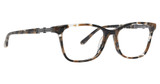 Jenny Lynn Eyewear Eyeglasses Intrepid BLACK/TORTOISE/BKT