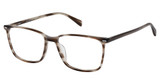 Cruz Eyeglasses Midway Rd Amber/AMBER