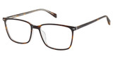 Cruz Eyeglasses Midway Rd Tortoise/TORTOISE