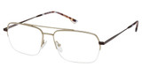 XXL Eyewear Eyeglasses Docker Gold/GOLD
