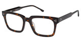 XXL Eyewear Squadron Tortoise/TORTOISE