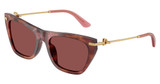 DOLCE & GABBANA Eyeglasses DG4511 HAVANA BROWN/344475