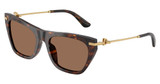DOLCE & GABBANA Eyeglasses DG4511 HAVANA/502/73
