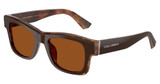 DOLCE & GABBANA Eyeglasses DG4515 TOP BROWN/PEARL GOLD AND/345673