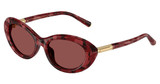 DOLCE & GABBANA Eyeglasses DG4519 PEARL HAVANA RED/346375
