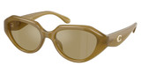 COACH Eyeglasses HC8433U CBY77 MILKY WASABI/590230