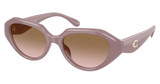 COACH Eyeglasses HC8433U CBY77 MILKY PUTTY/549511