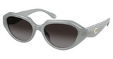 COACH Eyeglasses HC8433U CBY77 MILKY EUCALYPTUS/5905T3