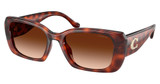 COACH Eyeglasses HC8435U CBY82 CARAMEL TORTOISE/577474